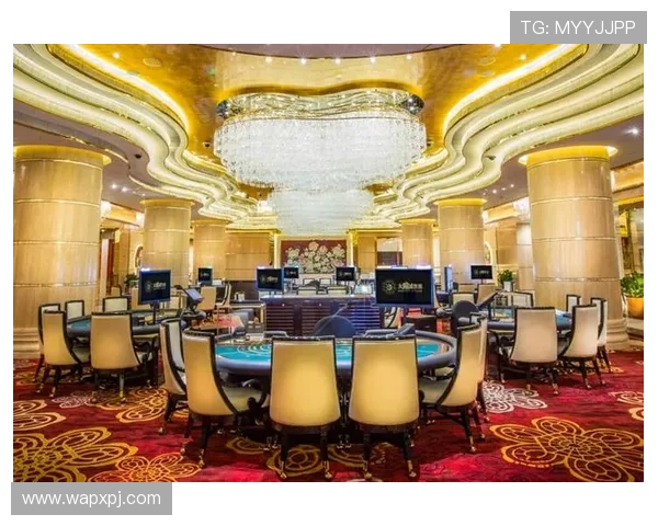 新葡京太阳城事件对玩家心理影响及如何有效防范类似风险的实用建议